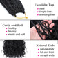 1 - 6 Packs Crochet Braids Curly Ends